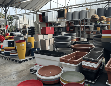 IMG_2858_batcheditor_fotor