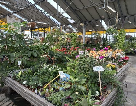 Jardinerie à Aubagne.