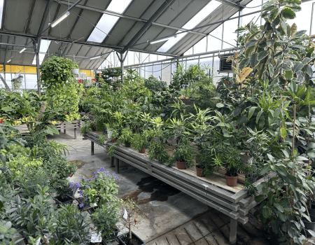 IMG_2862_batcheditor_fotor