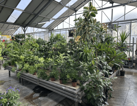 IMG_2863_batcheditor_fotor