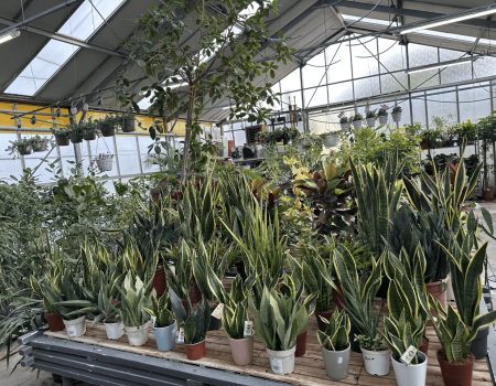 IMG_2866_batcheditor_fotor