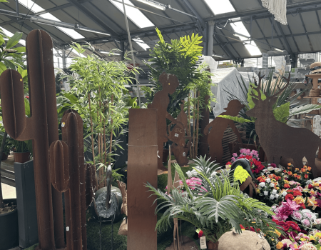 IMG_2880_batcheditor_fotor