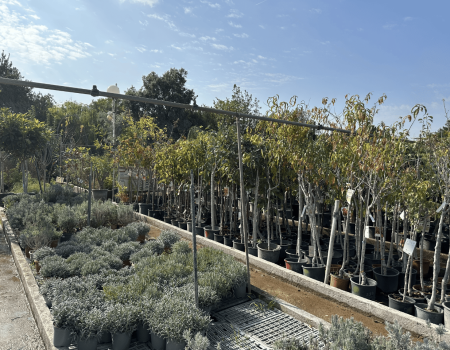 IMG_2915_batcheditor_fotor