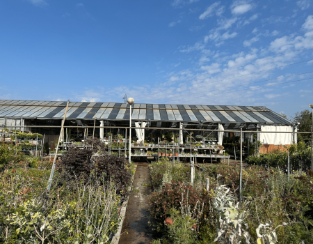 IMG_2925_batcheditor_fotor