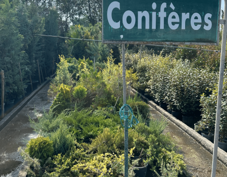 IMG_2927_batcheditor_fotor