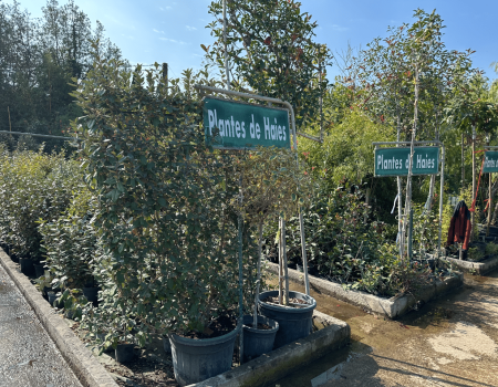 IMG_2928_batcheditor_fotor