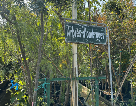 IMG_2929_batcheditor_fotor