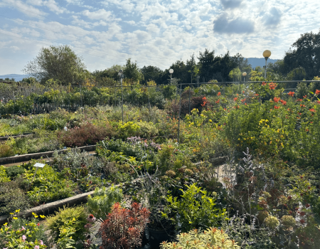 IMG_2936_batcheditor_fotor